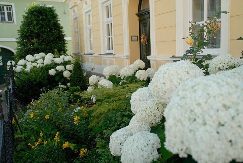 gartengestaltung-vorgarten-1